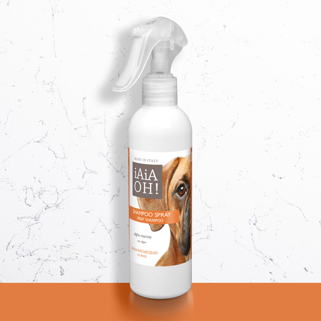 SHAMPOO SPRAY SENZA RISCIACQUO - 250 ml