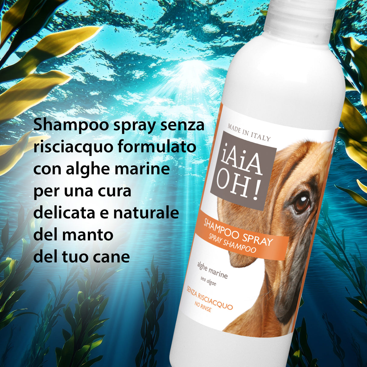 SHAMPOO SPRAY SENZA RISCIACQUO - 250 ml