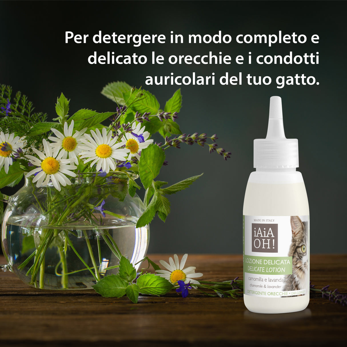 LOZIONE DELICATA DETERGENTE ORECCHIE