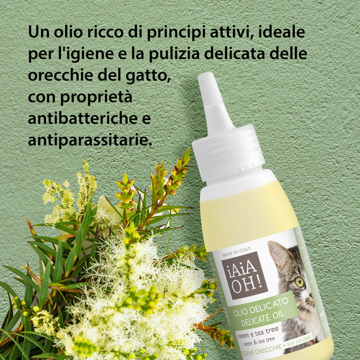 OLIO DELICATO IGIENE ORECCHIE