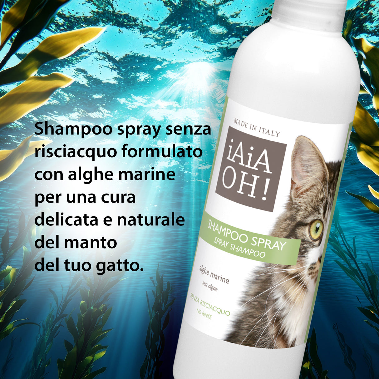 SHAMPOO SPRAY SENZA RISCIACQUO