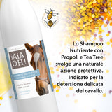 SHAMPOO NUTRIENTE IGIENIZZANTE