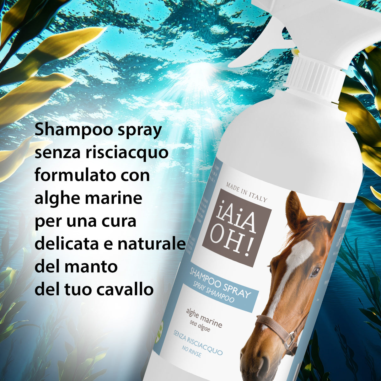 SHAMPOO SPRAY SENZA RISCIACQUO - 750 ml