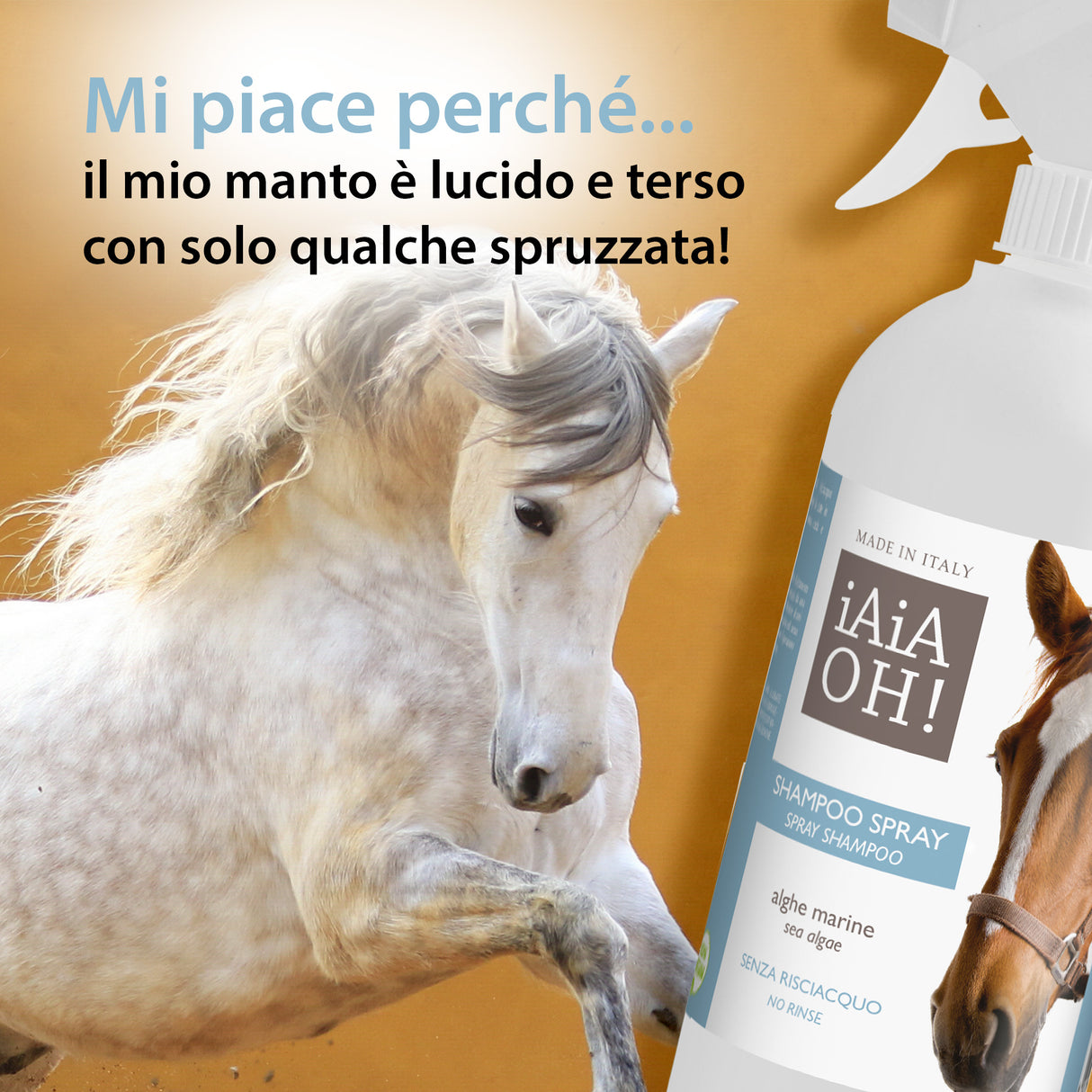 SHAMPOO SPRAY SENZA RISCIACQUO - 750 ml