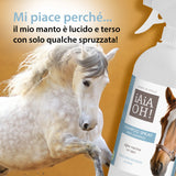 SHAMPOO SPRAY SENZA RISCIACQUO - 750 ml