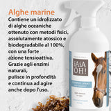 SHAMPOO SPRAY SENZA RISCIACQUO - 750 ml