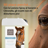 RICARICA LOZIONE SPRAY SGRADITO AGLI INSETTI